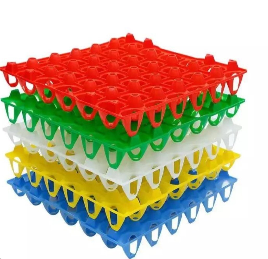 ALVEOLES EN PLASTIQUE - accessoires pour volaille - DEAG Gabon